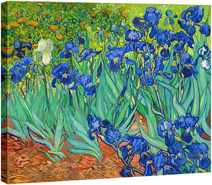Classic Floral Wall Art | Garden Irises Oil Painting Style Canvas Print | Elegant Decorative Artwork for Living Room, Bedroom, Office | High-Quality Canvas (16 x 12 Inches)