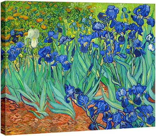 Classic Floral Wall Art | Garden Irises Oil Painting Style Canvas Print | Elegant Decorative Artwork for Living Room, Bedroom, Office | High-Quality Canvas (16 x 12 Inches)
